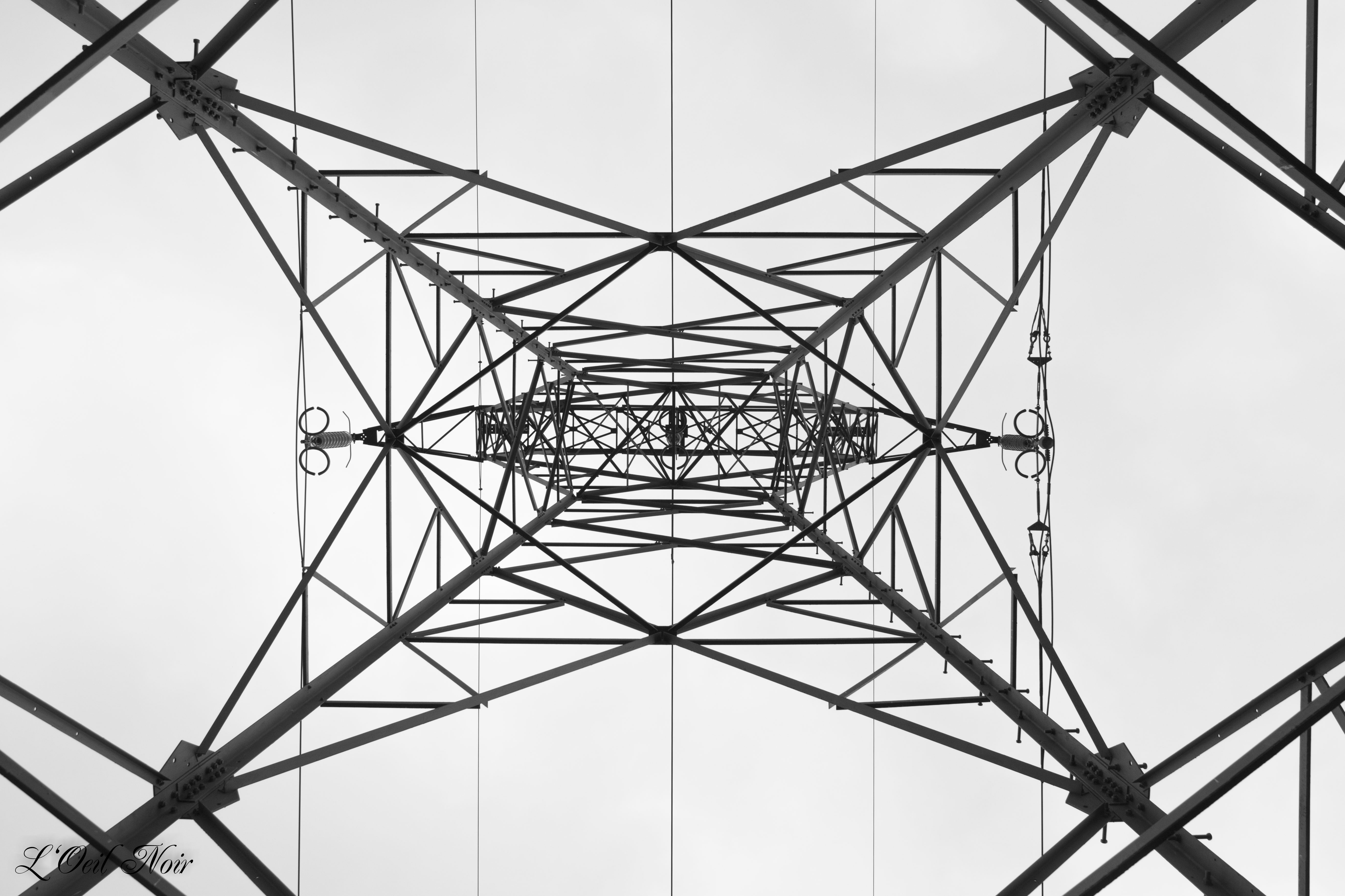 L' Oeil Noir Photographe